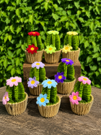 Cactus fleuris 🌵💐