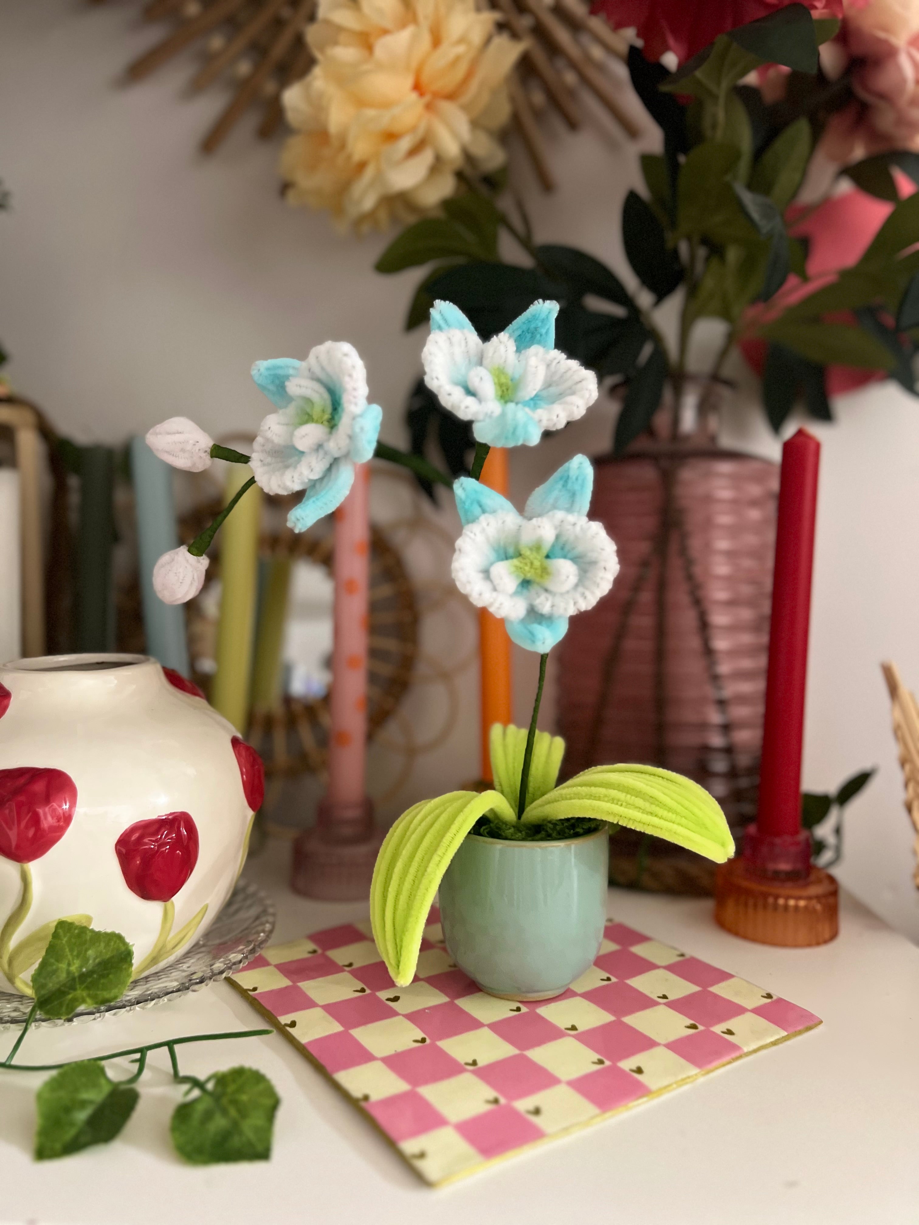 Orchidée simple ✨