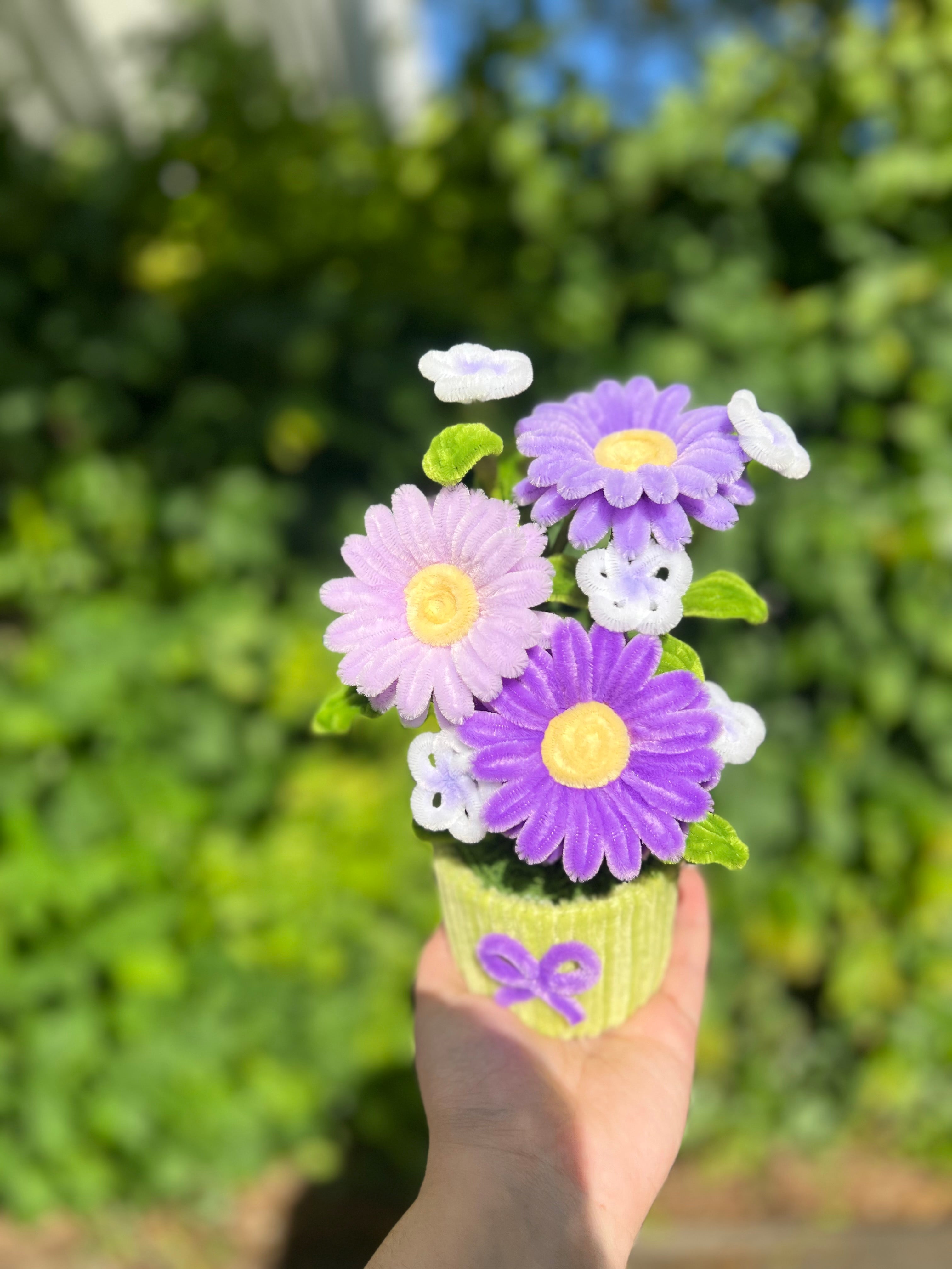 Pot de gerberas - Violet 💜