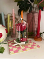 Rose éternelle sous cloche ✨ - plastique 🌹