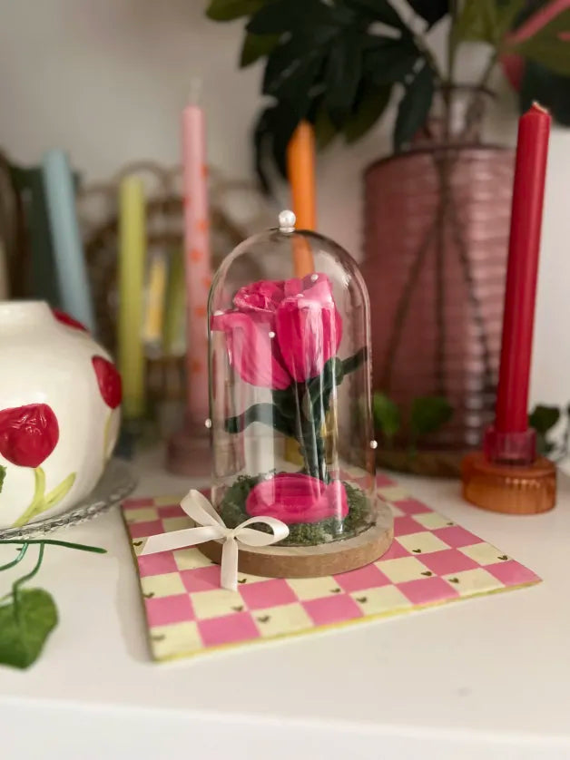 Rose éternelle sous cloche ✨ - plastique 🌹