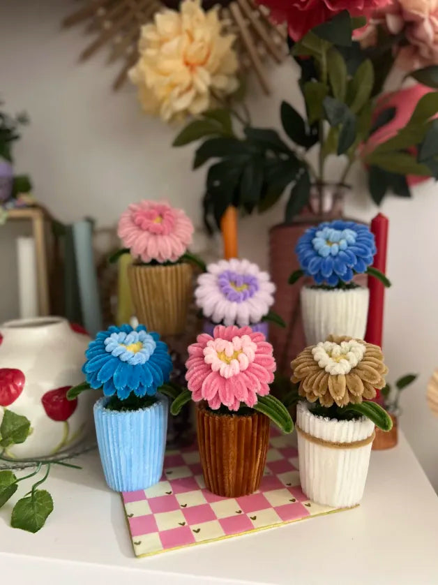 Gerbera cœur en pot 🩷