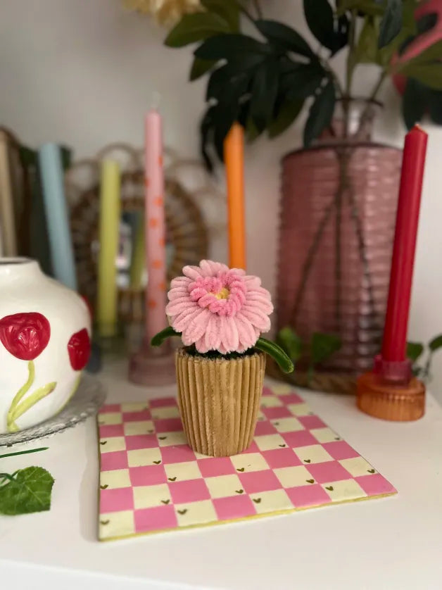 Gerbera cœur en pot 🩷