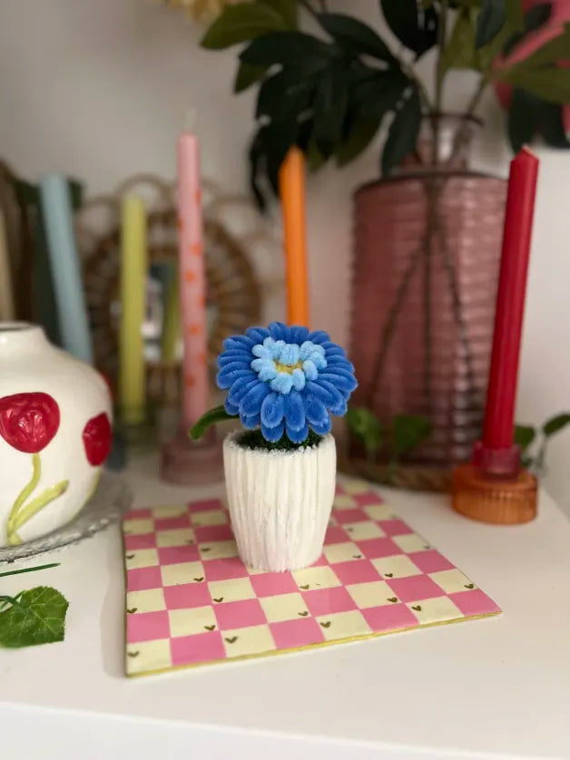 Gerbera cœur en pot 🩷