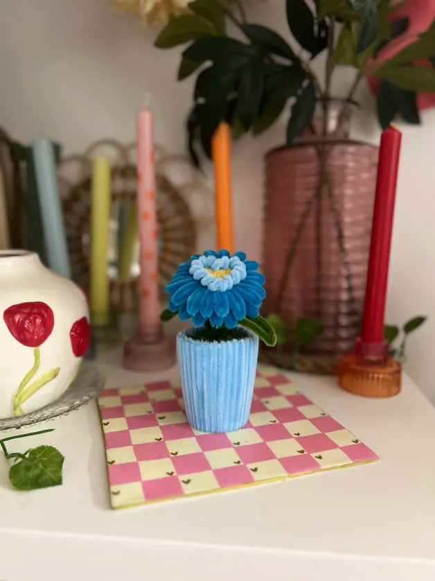 Gerbera cœur en pot 🩷