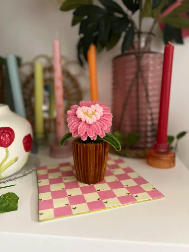 Gerbera cœur en pot 🩷