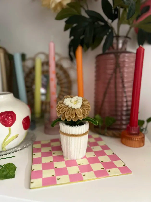 Gerbera cœur en pot 🩷