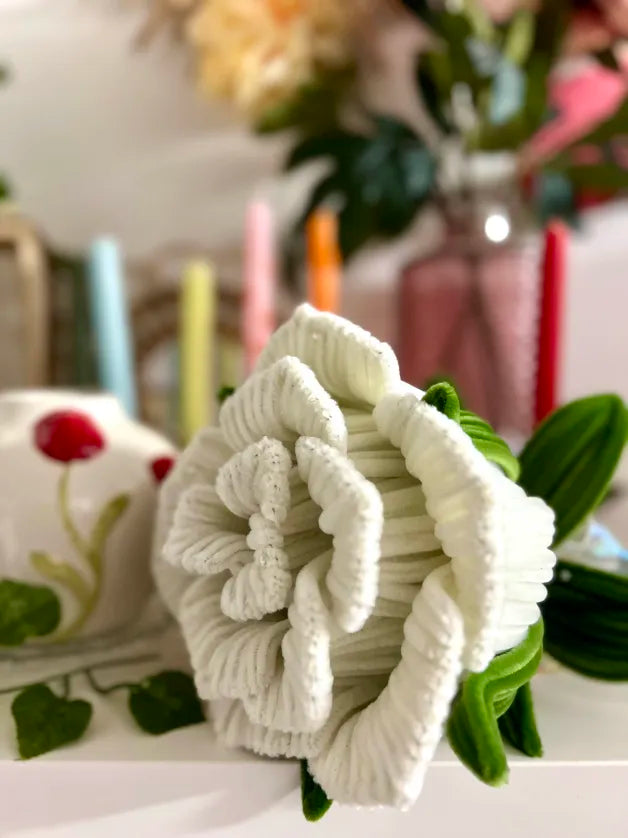 Rose géante - Blanche 🌹