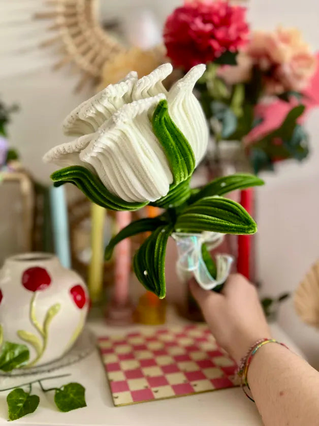 Rose géante - Blanche 🌹