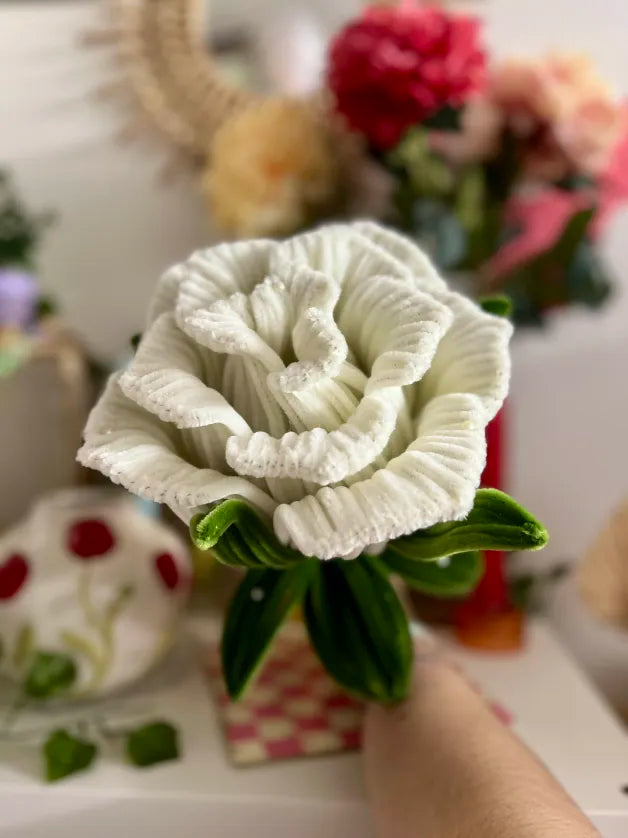 Rose géante - Blanche 🌹