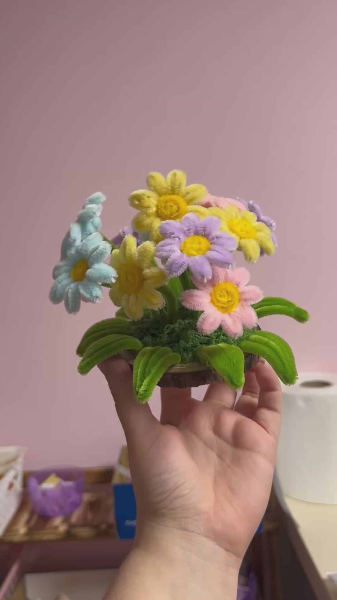 Pâquerettes dansantes - Multicolores